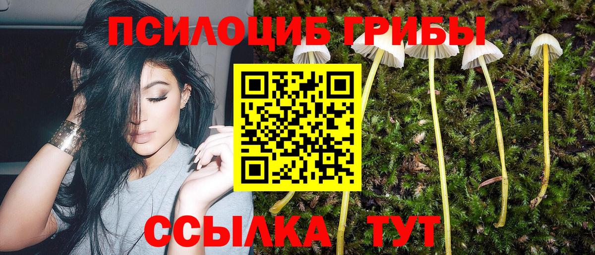 Псилоцибиновые грибы Psilocybine cubensis Магнитогорск