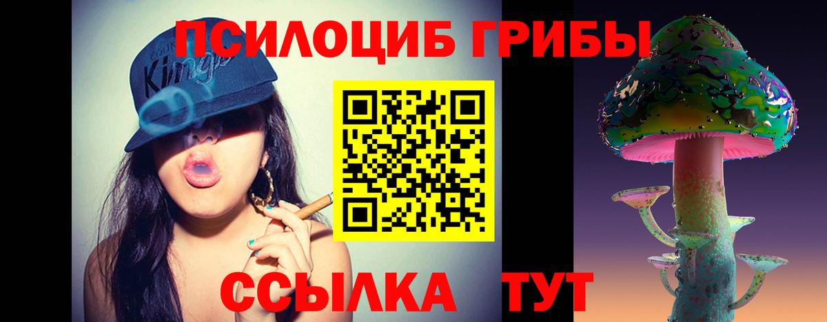 как найти закладки  Галлюциногенные грибы MAGIC MUSHROOMS  Вход с VPN  Магнитогорск 